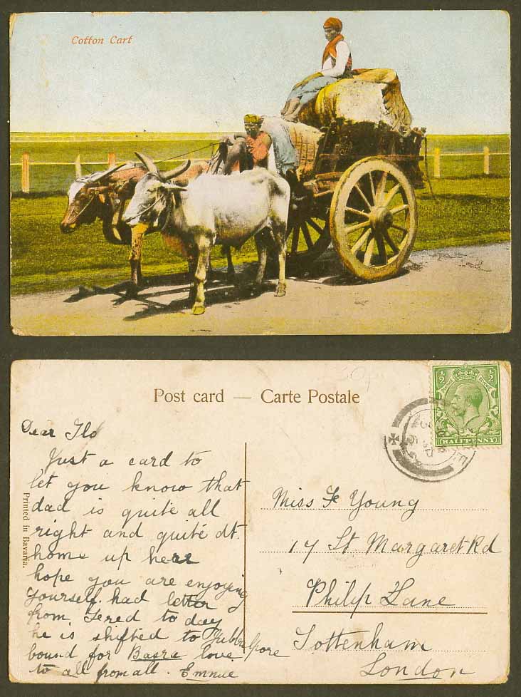 India Old Colour Postcard A COTTON CART Native Driver Bullock Cart Postally Used