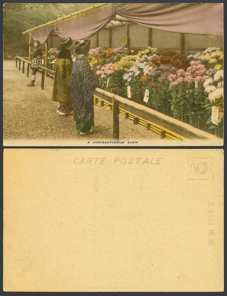 Japan Old Hand Tinted Postcard Geisha Girls Women, A Chrysanthemum Show, Flowers