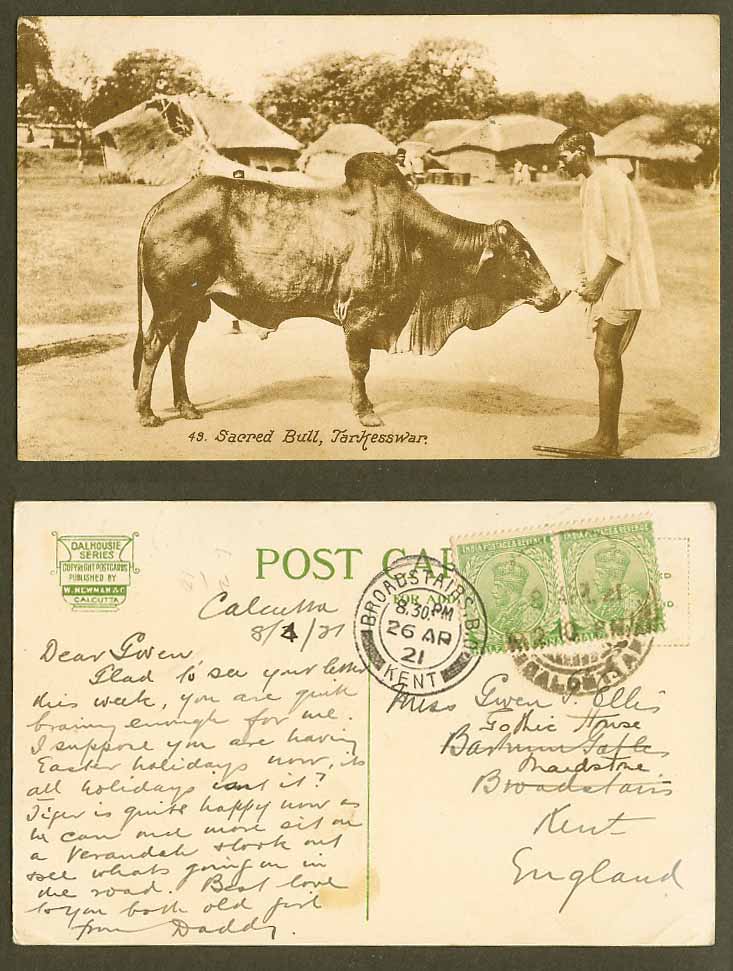 India KG5 1/2a 1921 Old Postcard Sacred Bull Tarkesswar Village Scene, Hindu Man