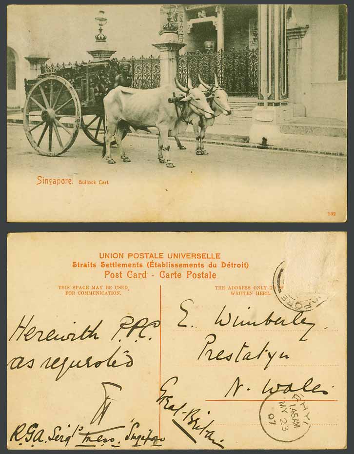 Singapore 1907 Old Postcard Double Bullock Cart and Native Driver, Malaya No.132