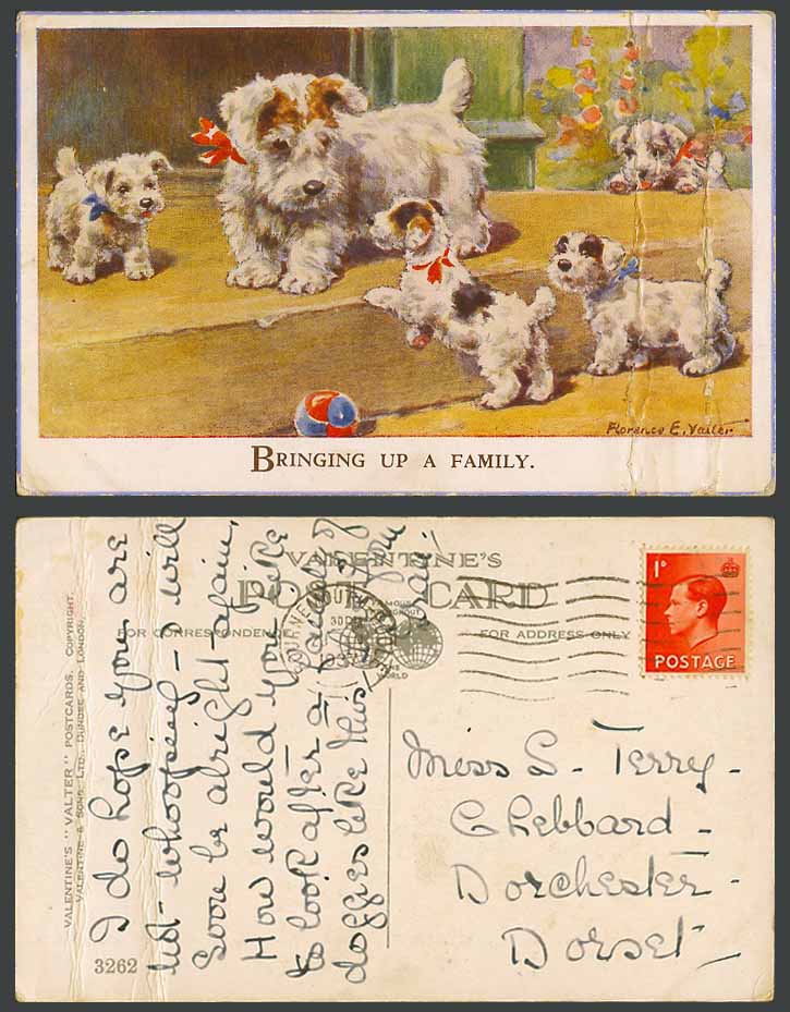 Florence E. Valter 1937 Old Postcard Bringing up a Family Dog Dogs Puppy Puppies
