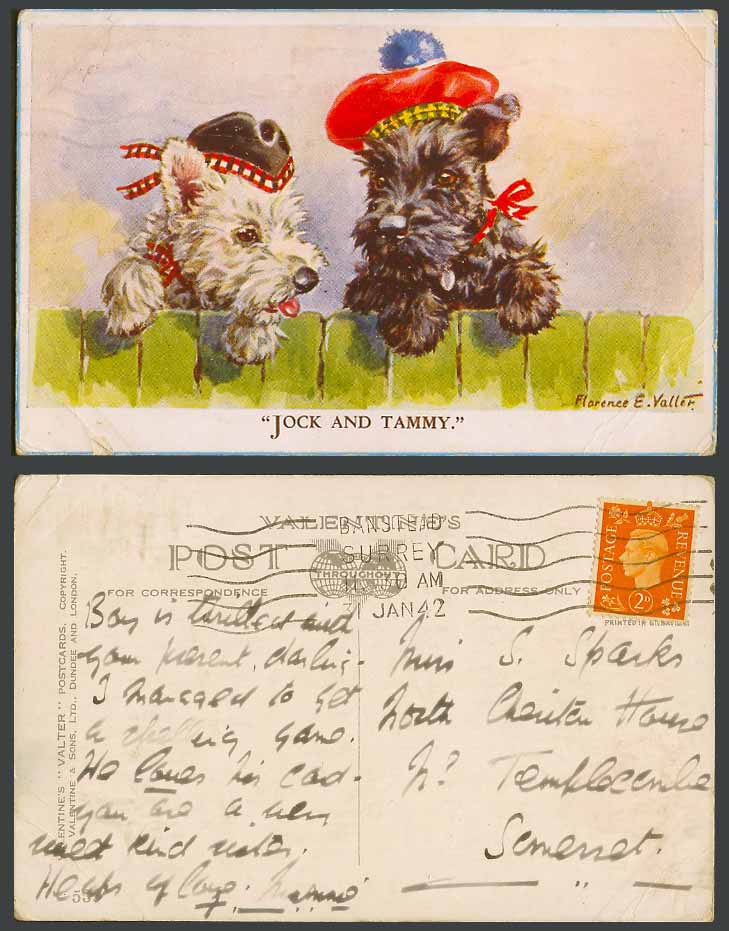 Florence E. Valter 1942 Old Postcard Jock & Tammy Scottie Dog Dogs Puppy Puppies