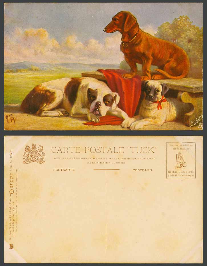 Dachshund German Sausage Dog Bulldog, P. Th. Artist Old Tuck's Oilette Postcard