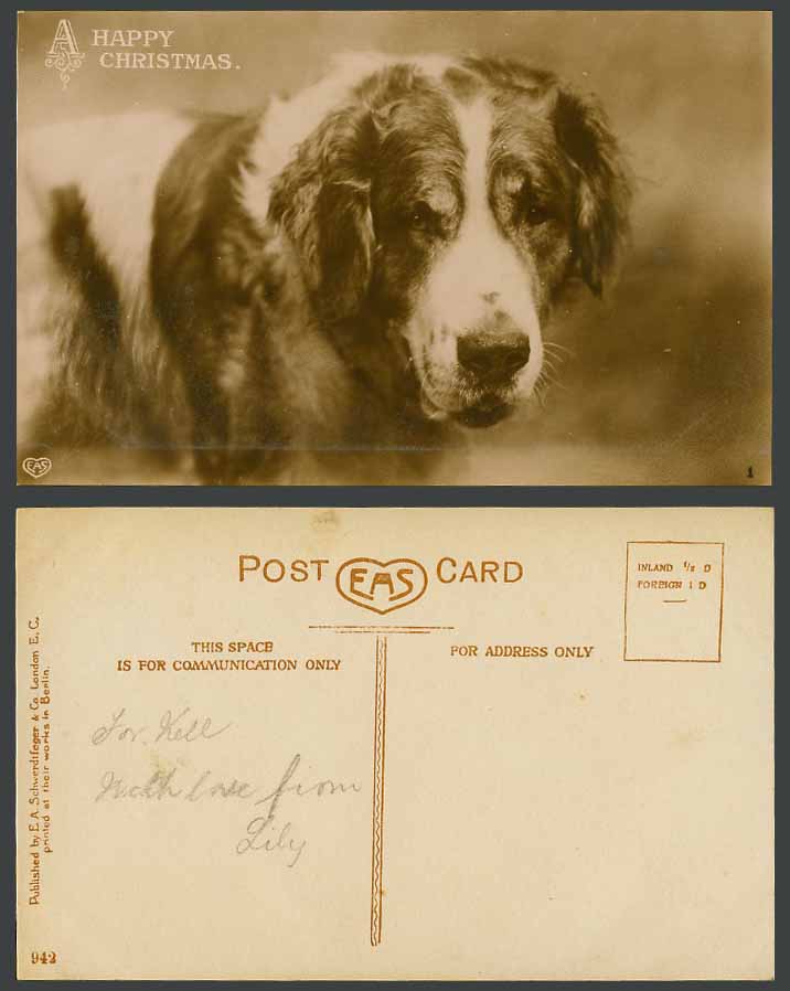 St. Bernard Dog Puppy Pet Animal A Happy Christmas Old Real Photo Postcard EAS