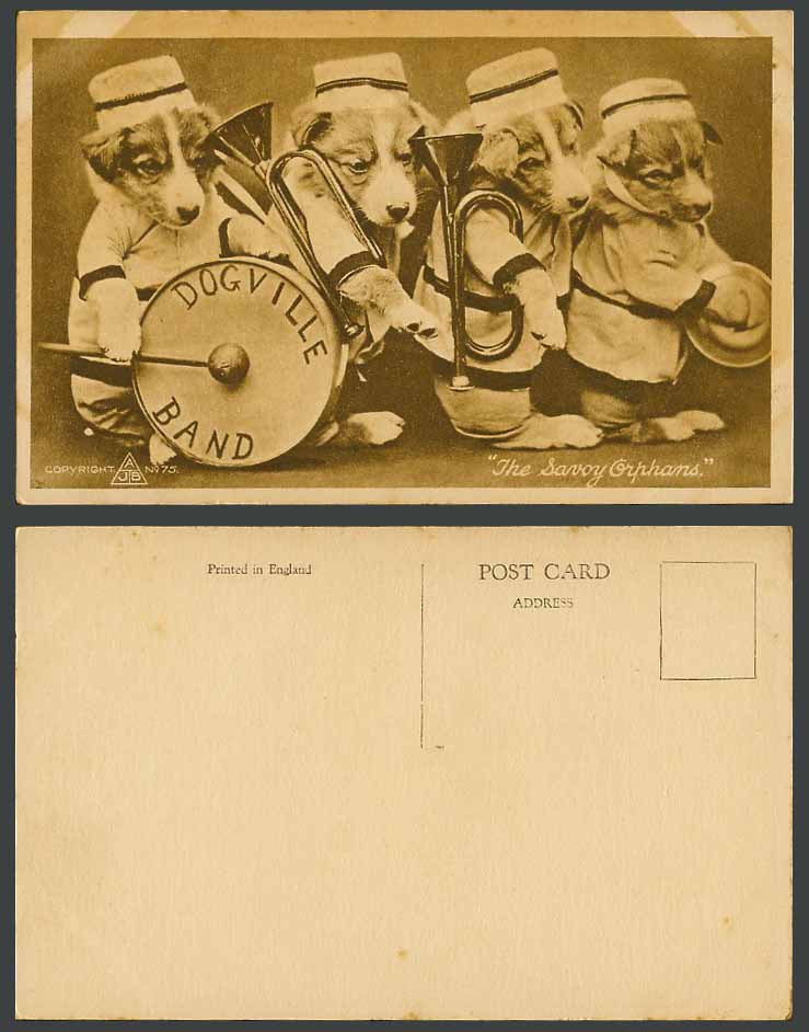 Dogs Puppies Dog Puppy The Savory Orphans Dogville Band Pet Animals Old Postcard