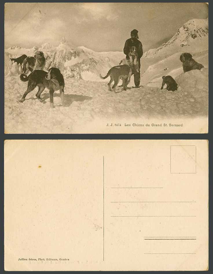 Les Chiens du Grand St. Bernard Dogs Puppies, Snowy Mountains Swiss Old Postcard