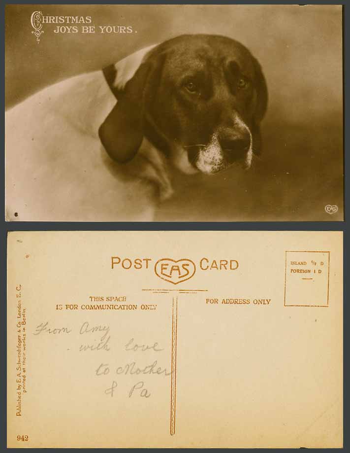 Dog Pets Pet Animals Greetings Christmas Joys Be Yours Old Real Photo Postcard 6