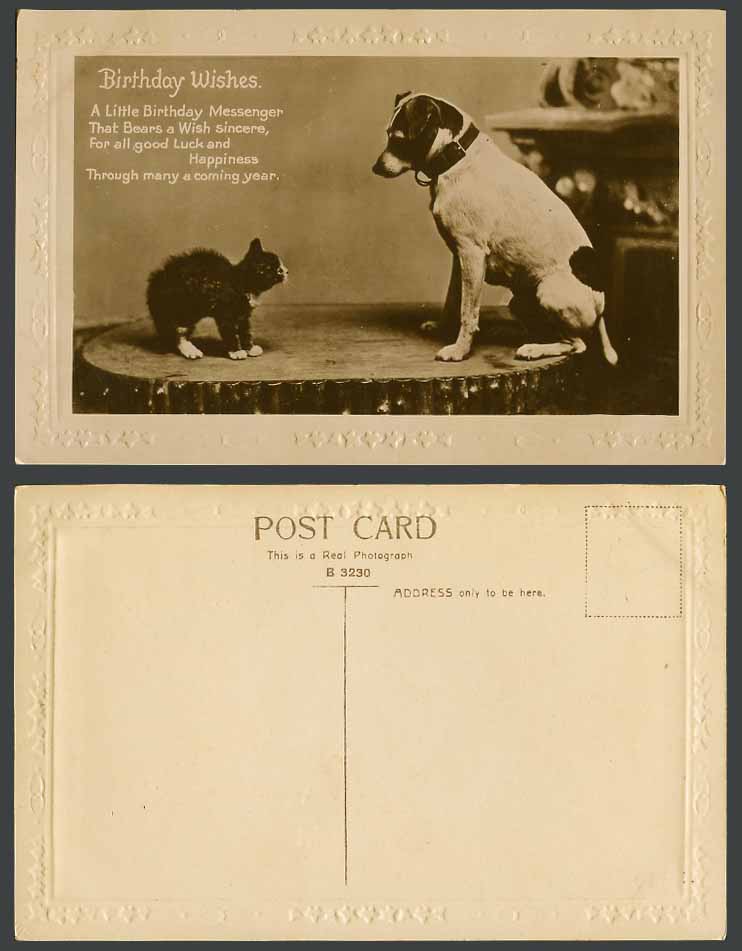 Dog Puppy and Cat Kitten, Birthday Wishes, Pets Animals Old Real Photo Postcard