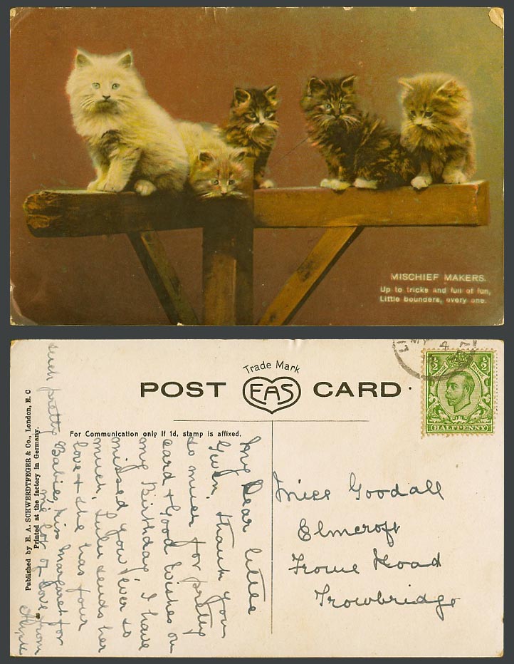 Cat Kitten Kittens, Mischief Makers, Up to tricks, Full of Fun 1912 Old Postcard