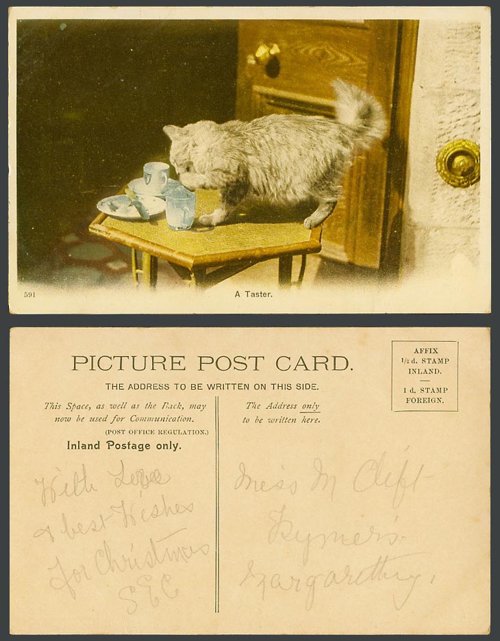Cat Kitten A Taster, Pet Animal Milk Jug Cup Dish Knife Door Old Colour Postcard