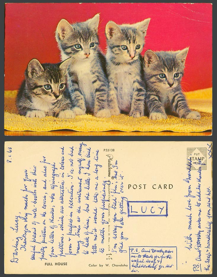 4 Kittens Cats Rug Full House Cat Kitten Pets Animals 1968 Early Colour Postcard