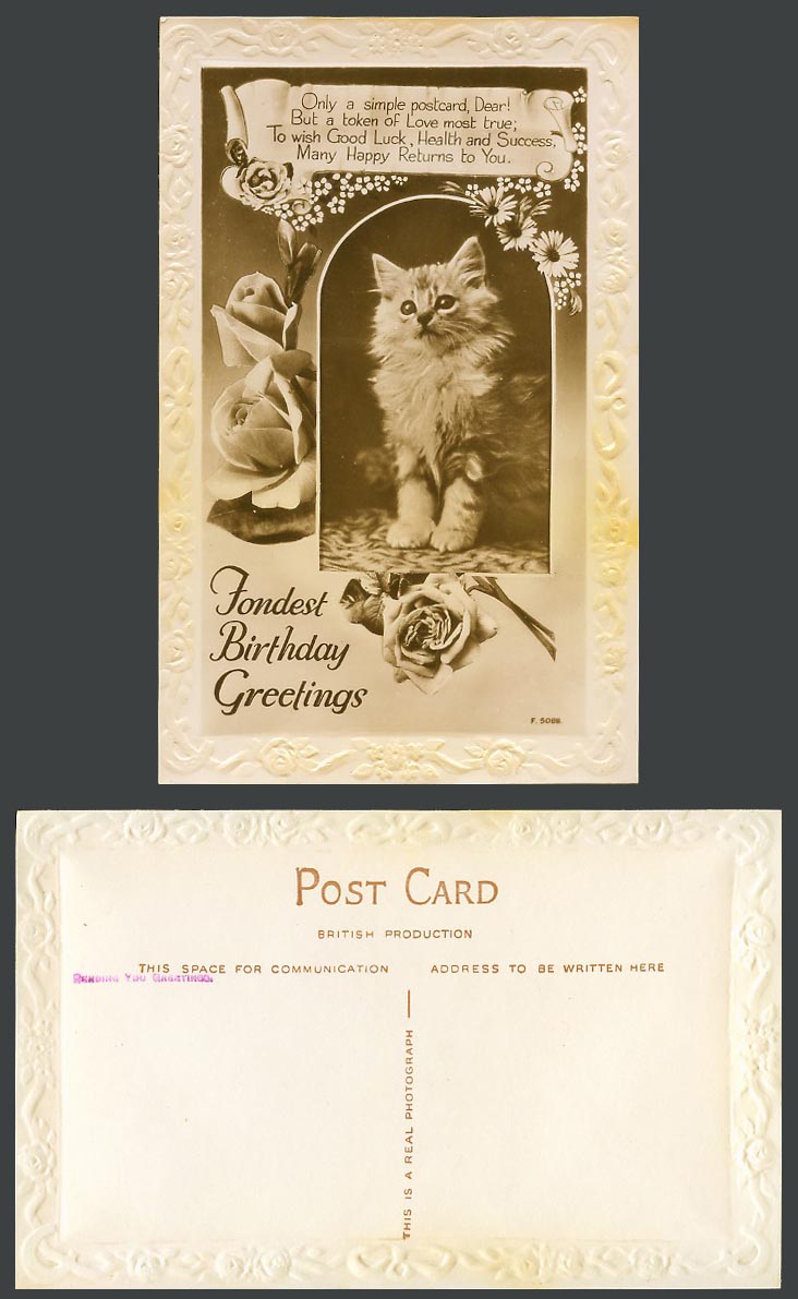 Cat Kitten Rose Flowers Fondest Birthday Greetings Old Embossed R Photo Postcard