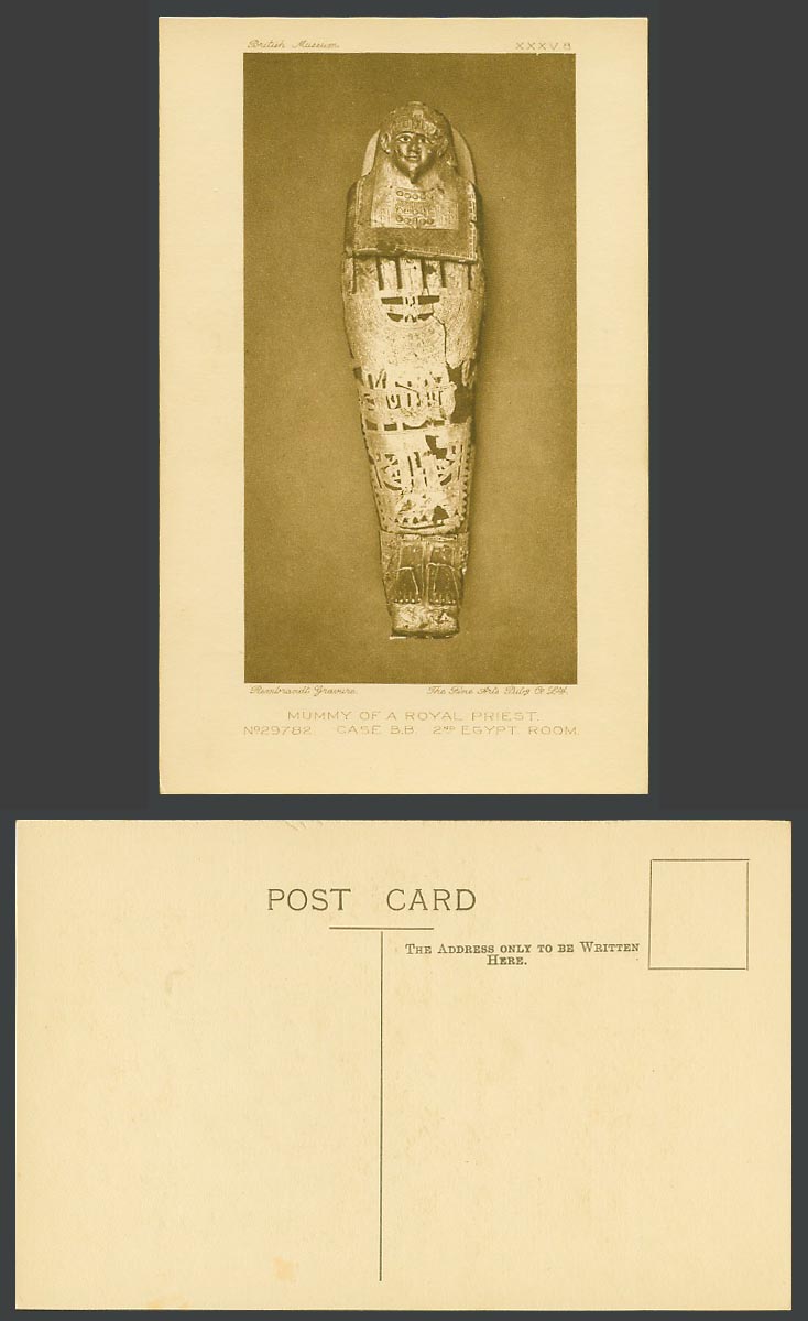 Egypt Room 2nd Old Postcard Mummy of a Royal Priest, Case B.B. - British Museum