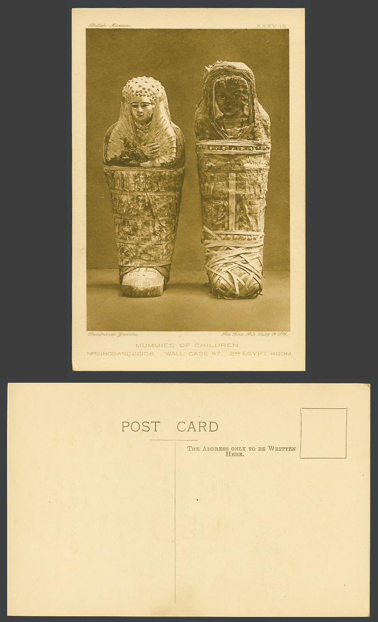 Egypt Room 2 Old Postcard Mummy Mummies of Children, Wall Case 67 British Museum
