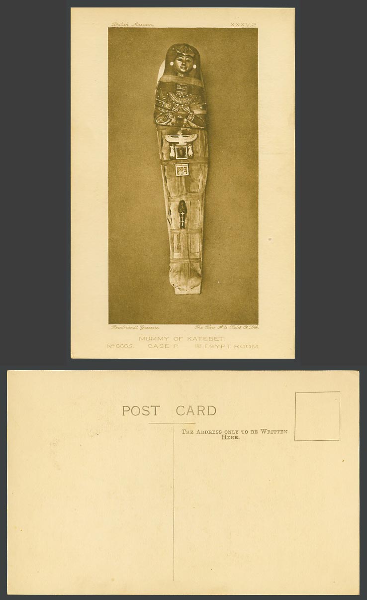 Egypt Room 1st Old Postcard Mummy of Katebet, Case P. British Museum 6665 XXXV.2