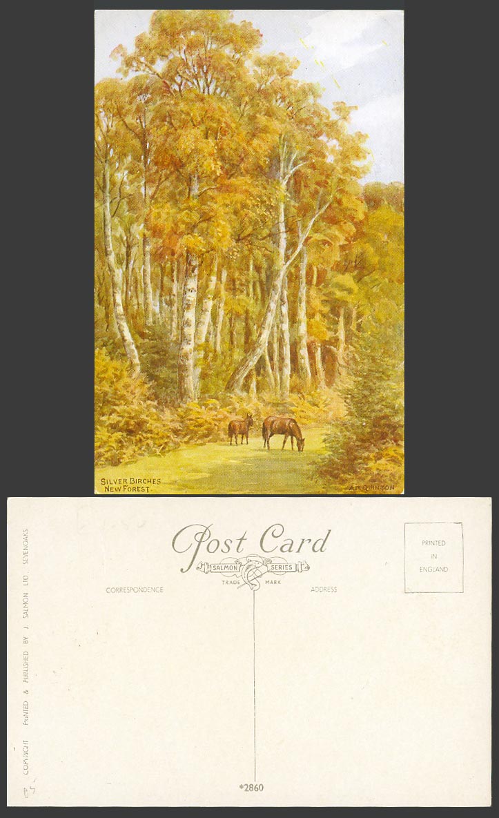 AR Quinton Old Postcard Silver Birches Birch Trees New Forest Horses Ponies 2860