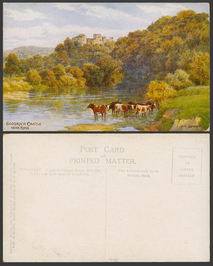 A.R. Quinton Old Postcard Goodrich Castle near Ross Cattle Cow in Water ARQ 1387