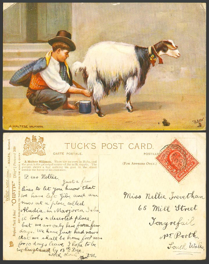 Malta 1906 Old Tuck's Oilette Postcard A Maltese Milkman Boy Milking Goat's Milk