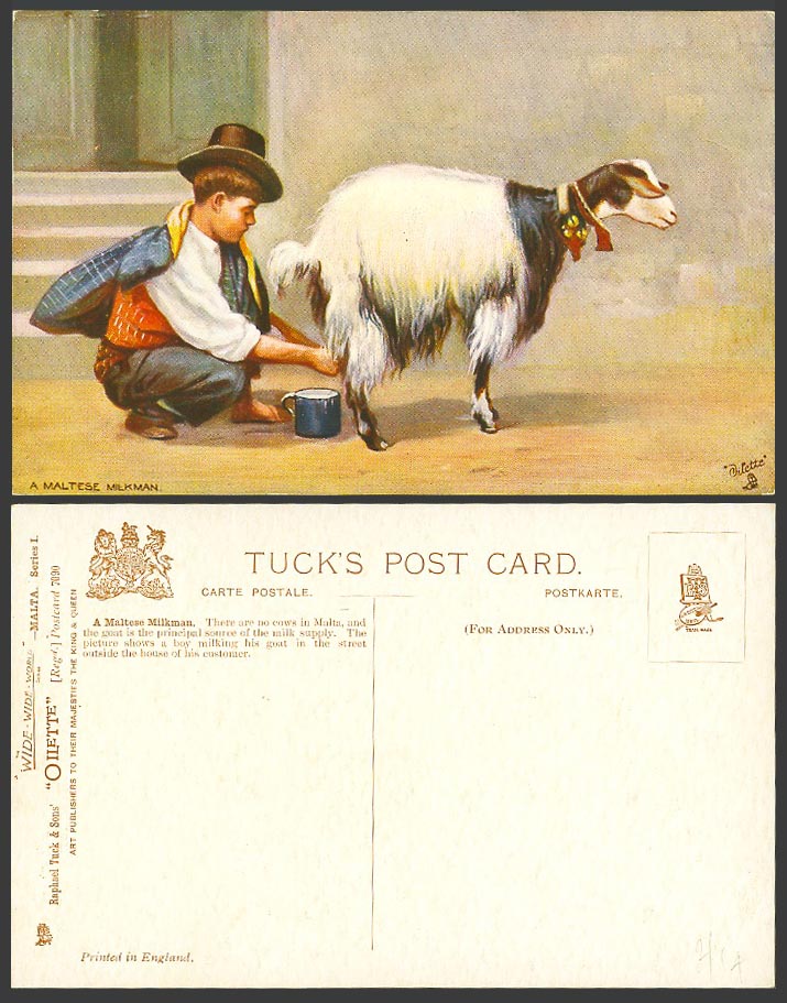 Malta Tuck's Oilette 7090 Old Postcard A Maltese Milkman Boy Milking Goat's Milk