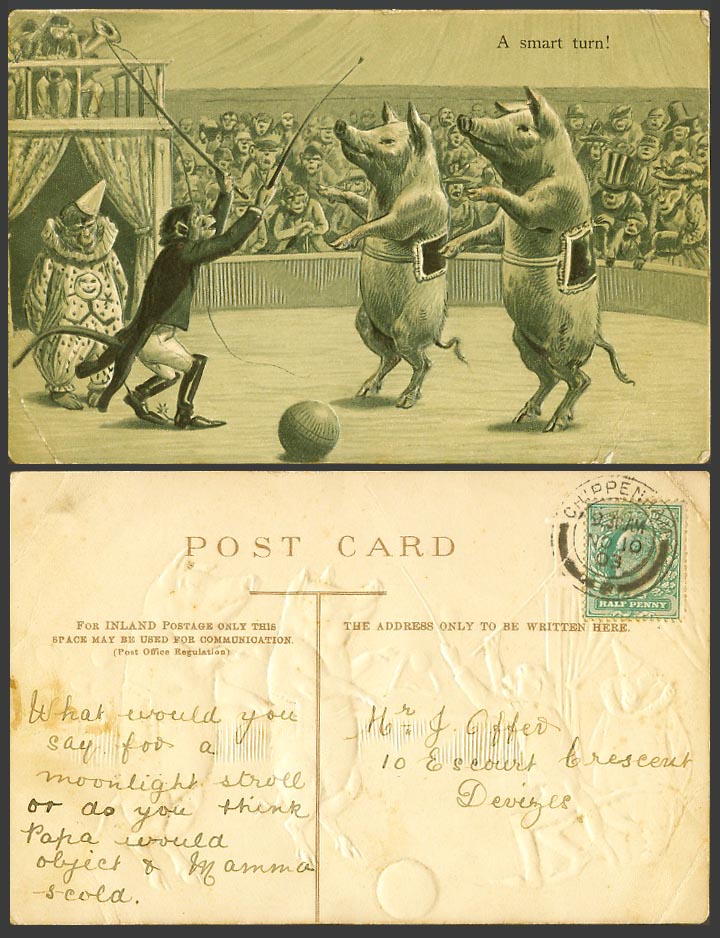 Pigs Piglets Monkey Chimpanzee Clown Circus Show, A Smart Turn 1903 Old Postcard