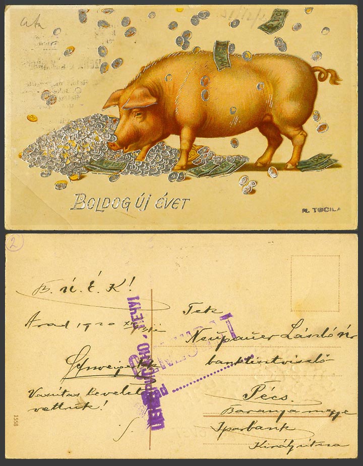 Pig Piglet & Coins Banknotes Money Happy New Year Greetings Hungary Old Postcard