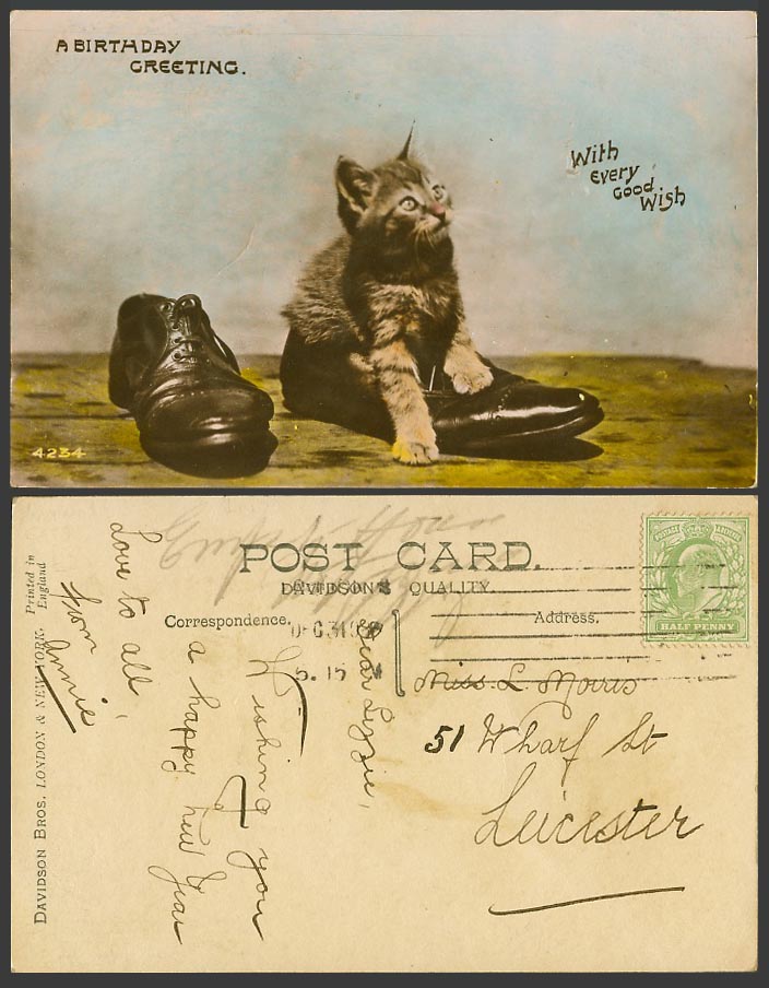 Pussy Cat Kitten in Boot Shoe 1908 Old Postcard Shoes Boots Birthday Good Wishes