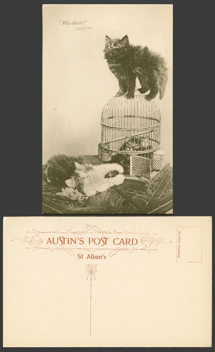 Cats Kittens Birdcage Bird Cage Who Did It? Cat Kitten Pets Animals Old Postcard