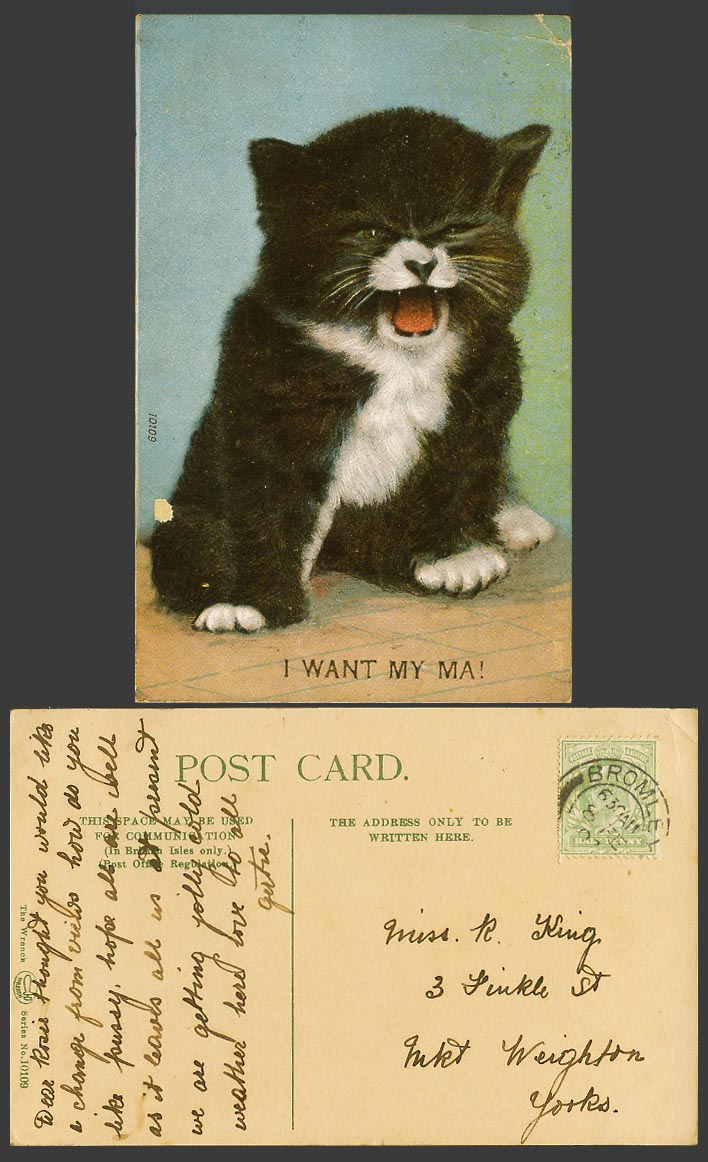 Little Kitten Cat, I WANT MY MA! 1907 Old Colour Postcard Cats Kittens Pets Pet