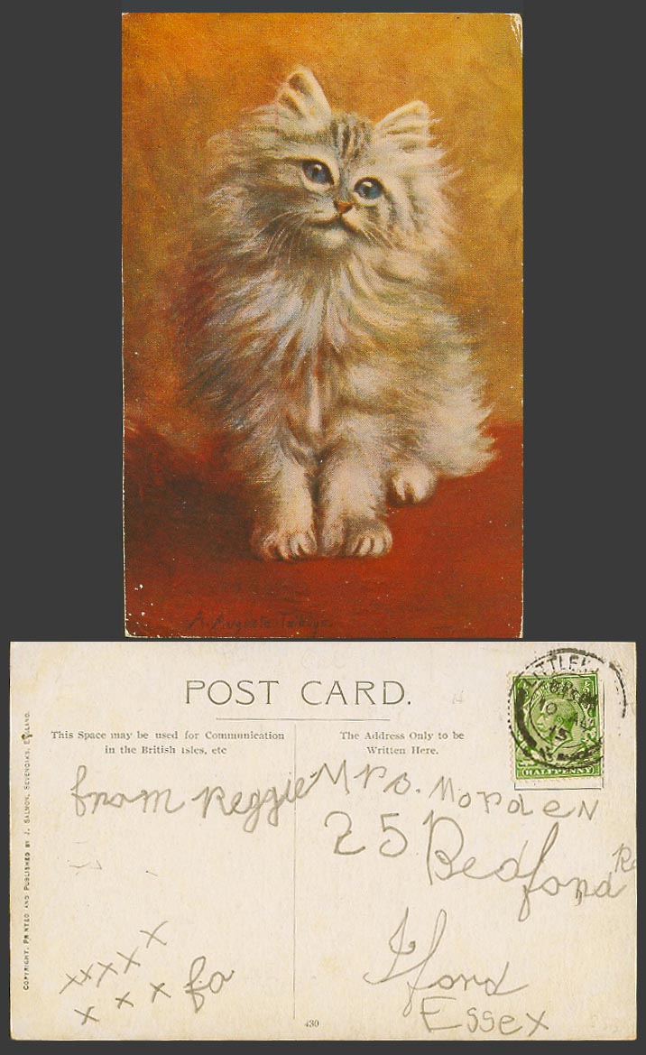 A. Augusta Talboys Artist Signed 1915 Old Postcard Beautiful Persian Cat Kitten