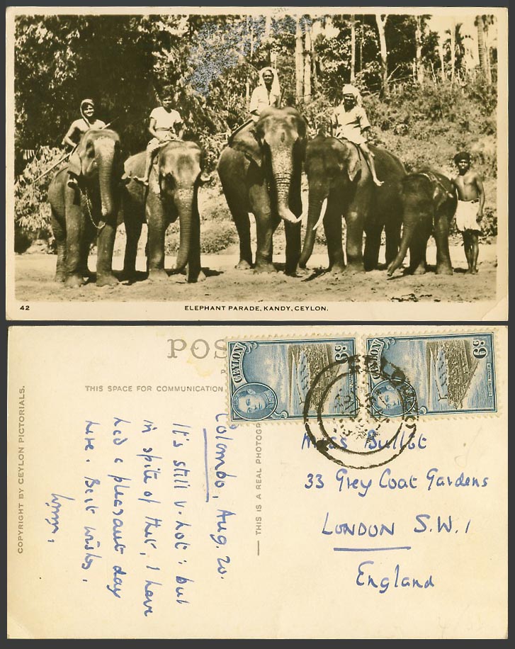 Ceylon KG6 6c x 2 1953 Old Real Photo Postcard Elephant Parade Kandy Elephants