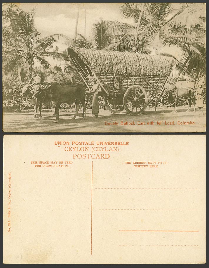 Ceylon Old Postcard Double Bullock Cart with Full Load Colombo Cattle Palm Trees