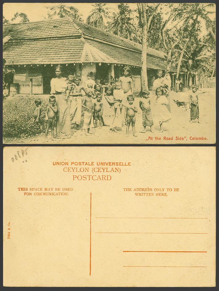 Ceylon Old Postcard Colombo At The Road Side, Group of Native Children Women Men