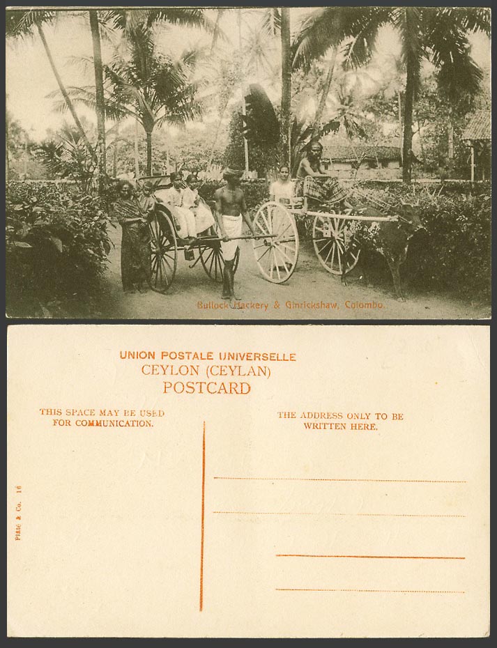 Ceylon Old Postcard Rickshaw Ginricksha Bullock Hackery Colombo, Women Girls Men
