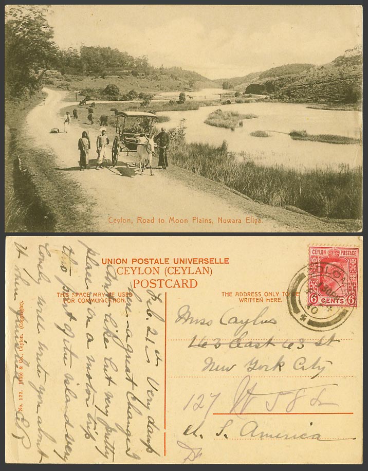 Ceylon KE7 6c 1910 Old Postcard Moon Plains Nuwara Eliya Cattle Cart Street Road