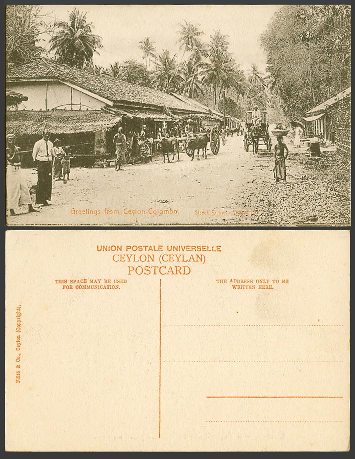 Ceylon Old Postcard Grand Pass Native Street Scene Colombo Horse & Bullock Carts