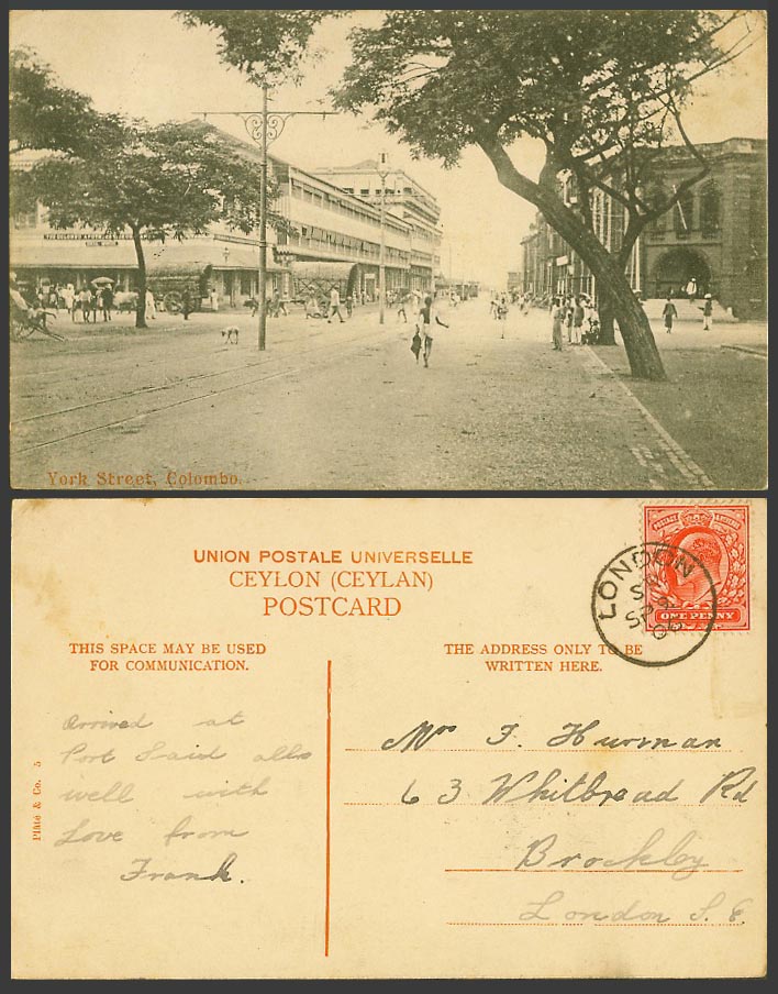 Ceylon GB KE7 1d 1906 Old Postcard York Street Scene Dog Colombo Apothecaries Co