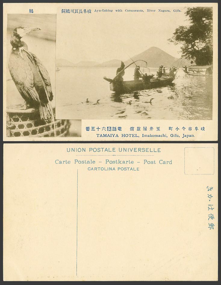 Japan Old Postcard Ayu Fishing Boat Gifu Cormorant Bird Tamaiya Hotel Imakomachi