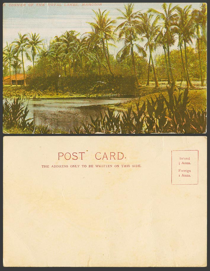 Burma Burmese Old Colour Postcard A Corner of Royal Lakes Rangoon Palm Tree Lake