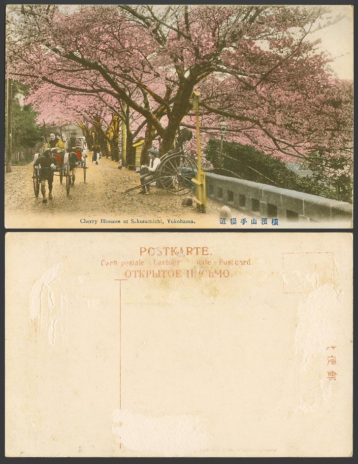 Japan Old Hand Tinted Postcard Cherry Blossoms Sakuramichi Yokohama Rickshaw 山手道
