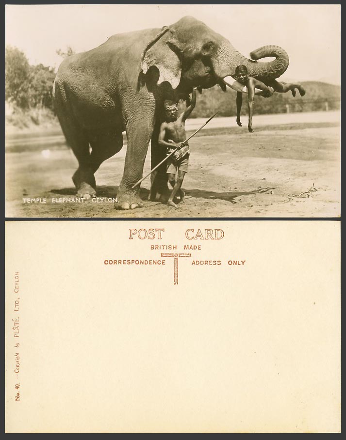 Ceylon Old Real Photo Postcard Boy on Temple Elephant's Teeth Native Trainer Man