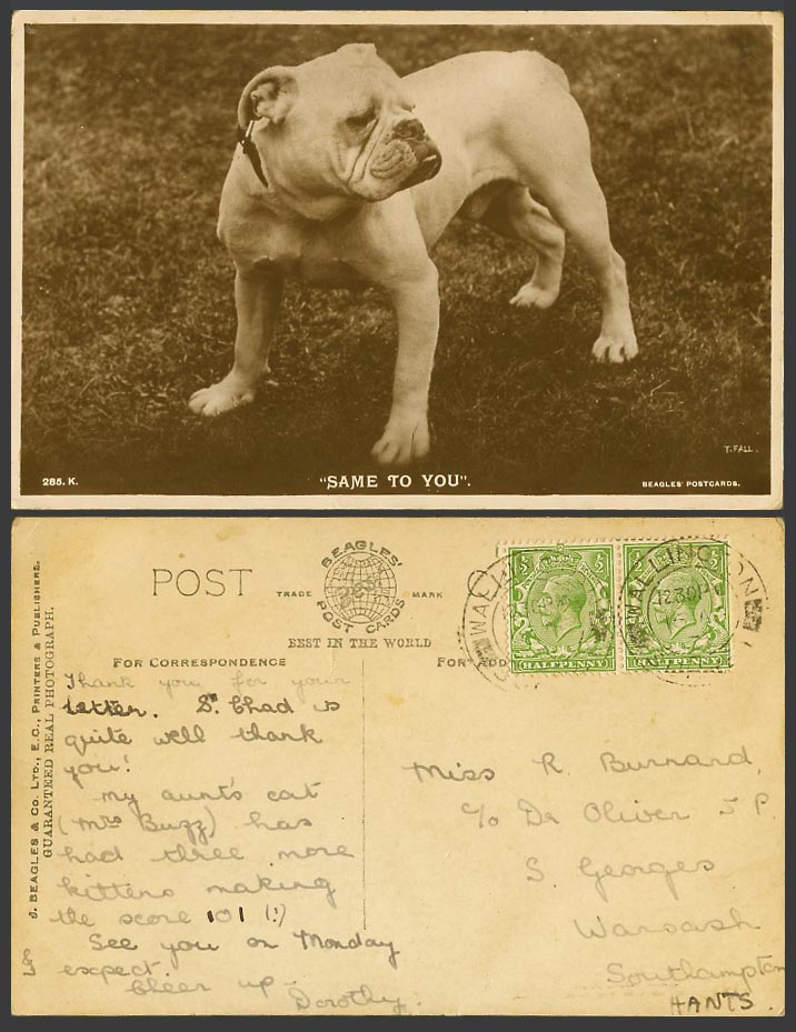 BULL DOG BULLDOG Pet Same To You KG5 1/2d x 2 Old Real Photo Postcard J. Beagles