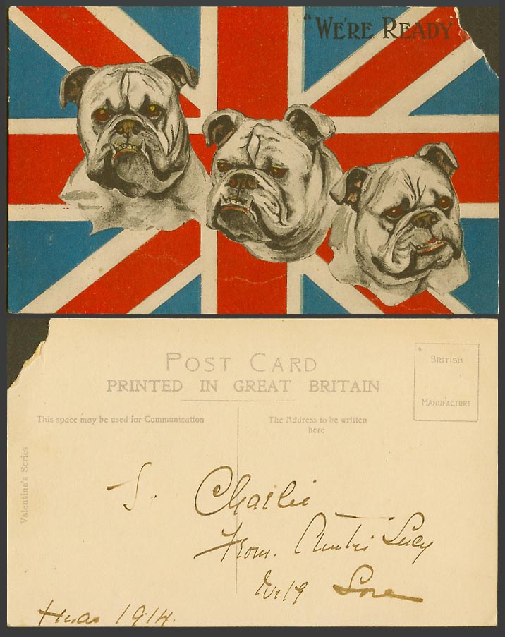 WW1 Bulldog Bull Dog 3 Dogs Puppies, We're Ready, British Flag 1914 Old Postcard