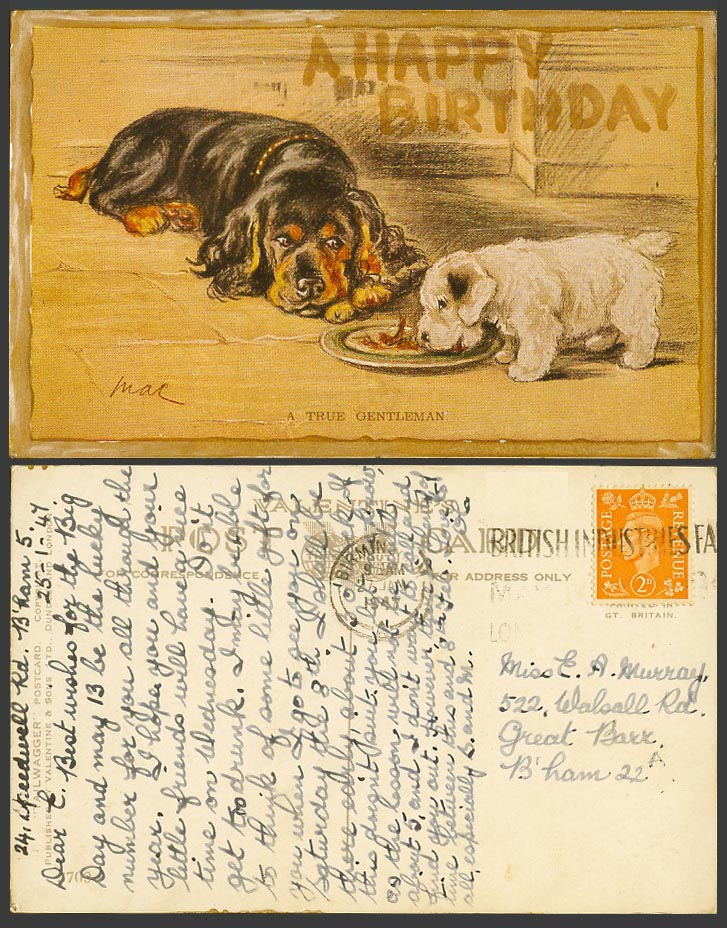 MAC Artist Signed 2d 1947 Old Postcard Dog Puppy Dogs Puppies - A True Gentleman