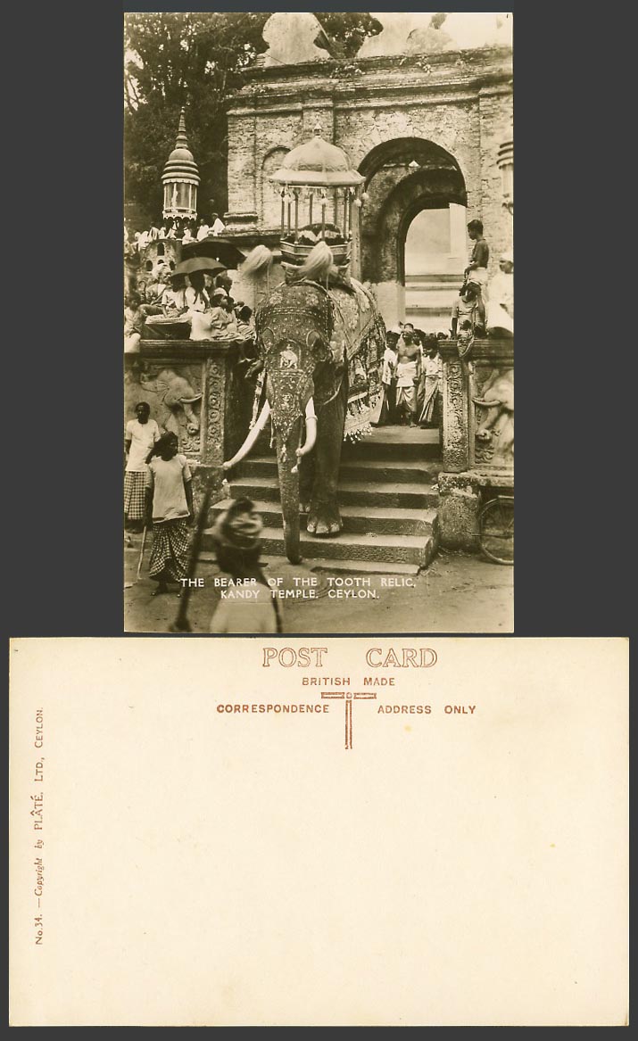 Ceylon Old Real Photo Postcard ELEPHANT Bearer of Tooth Relic Kandy Temple Steps