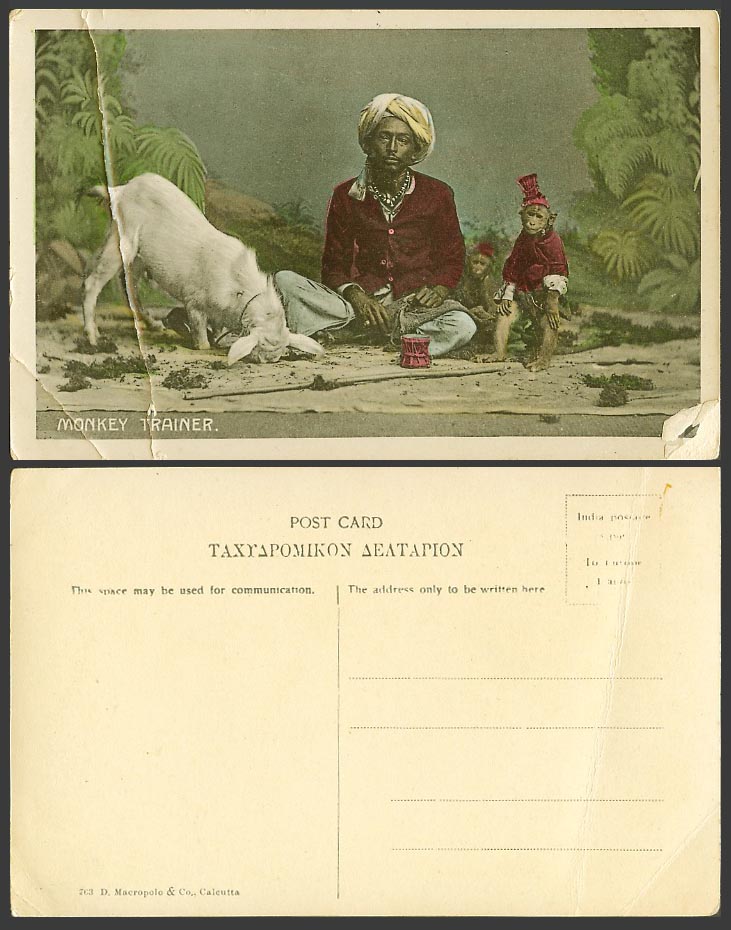 India Old Colour Postcard MONKEY TRAINER, Monkeys Goat A Native Man Juggler Drum