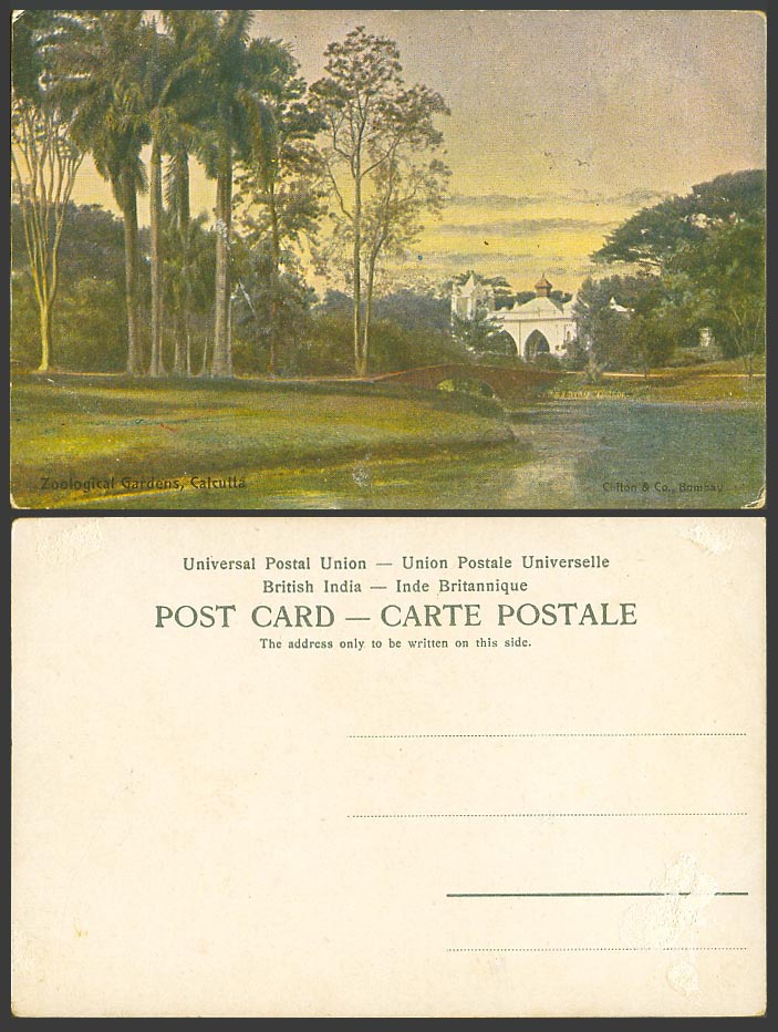 India Old Postcard Zoological Gardens Calcutta Zoo Bridge Palm Trees River Scene