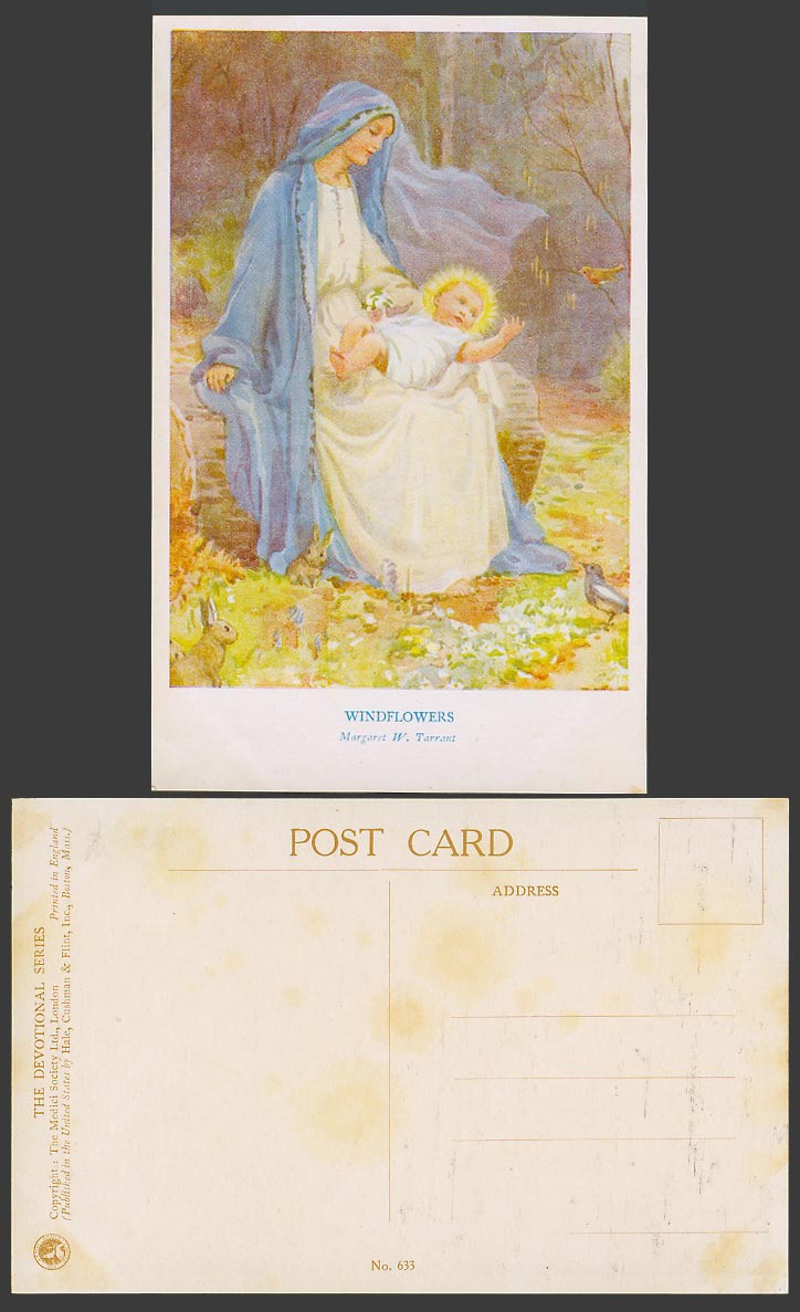 Margaret W. Tarrant Old Postcard Windflowers Devotional Series Robin Bird Rabbit