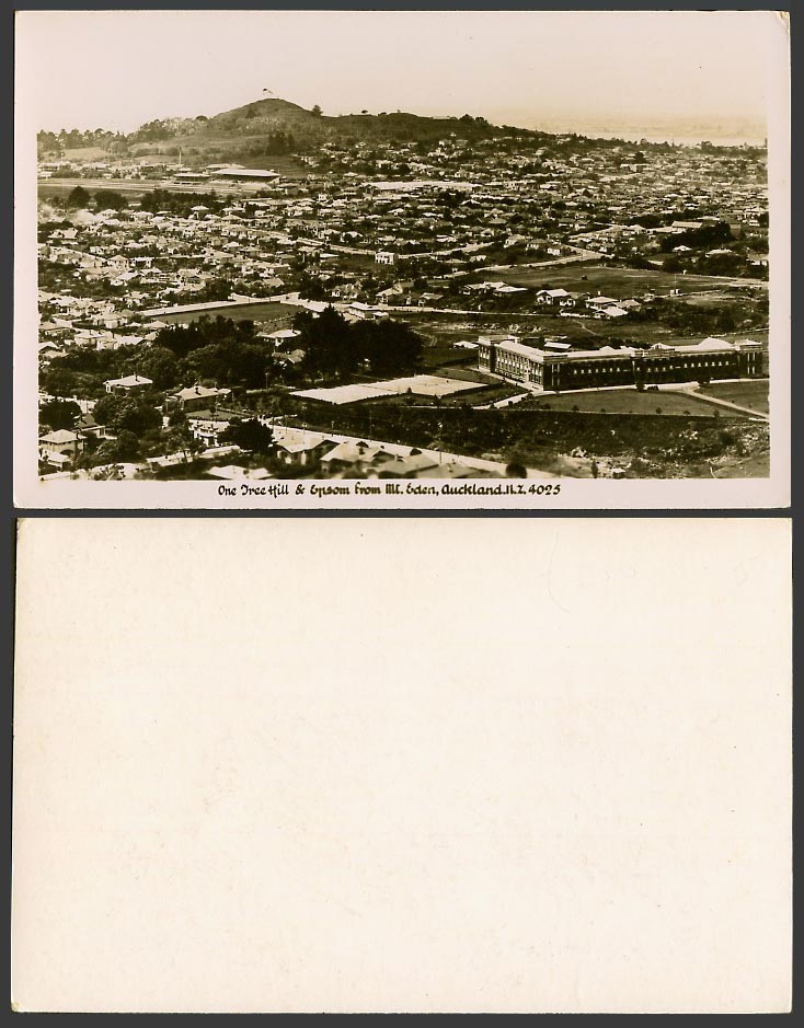 New Zealand Old Real Photo Postcard One Tree Hill & Epsom from Mt. Eden Auckland