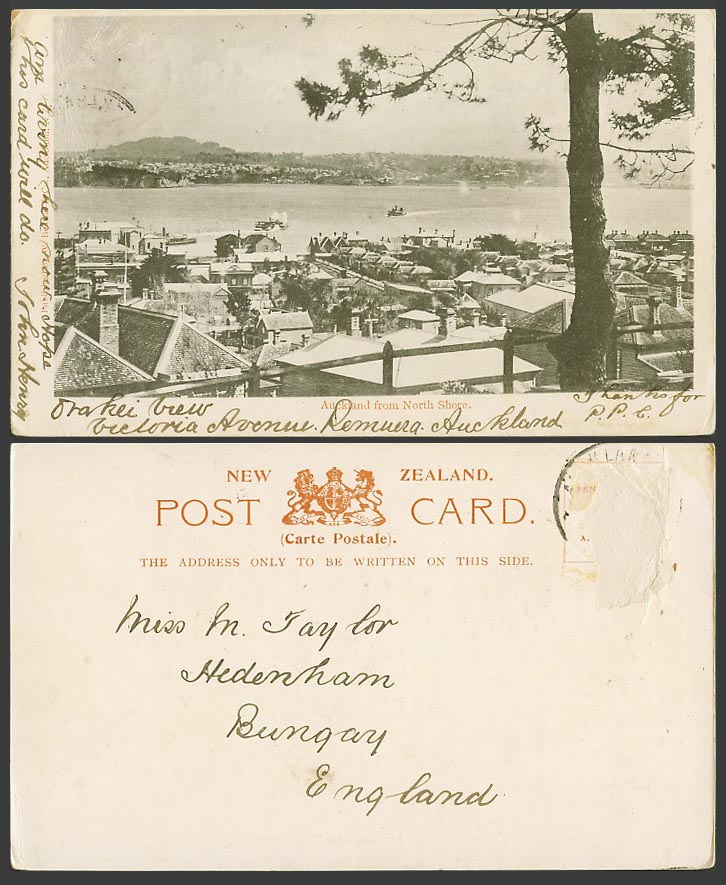 New Zealand Old UB Postcard Auckland from North Shore Boat Panorama General View
