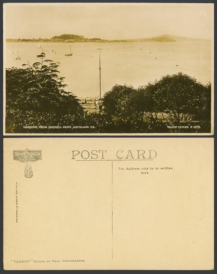 New Zealand Auckland Harbour from Parnell Park Boats Yacht Panorama Old Postcard